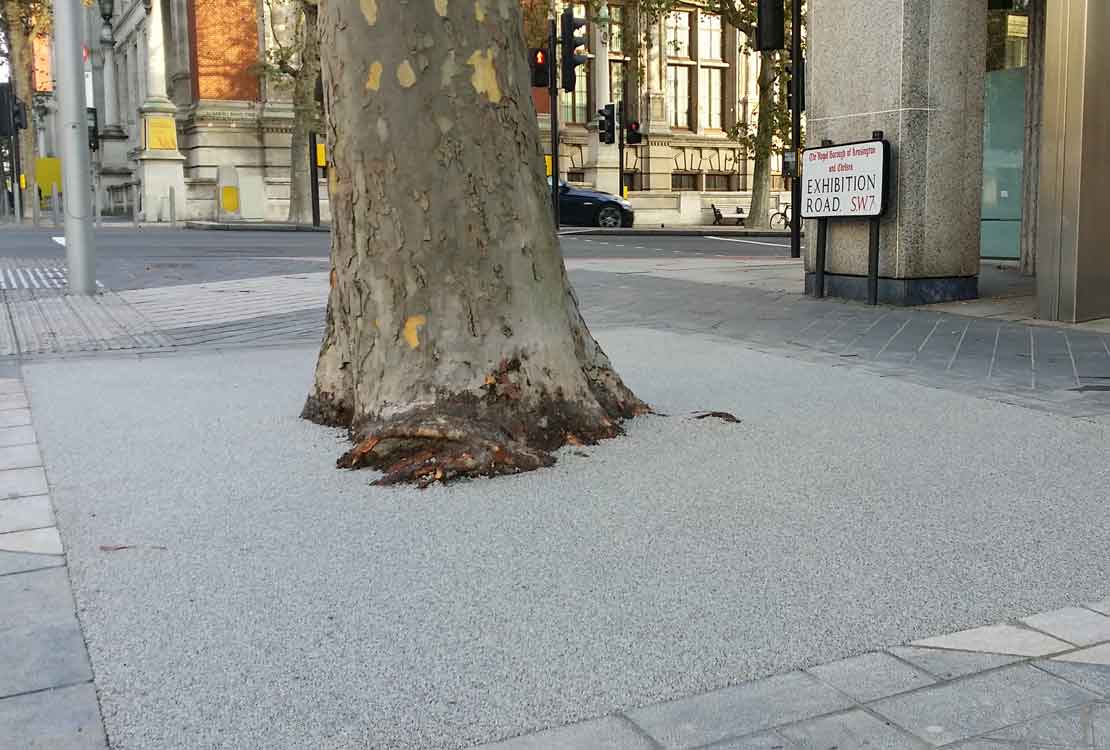 Addastone Tree Pit for Exhibition Road London